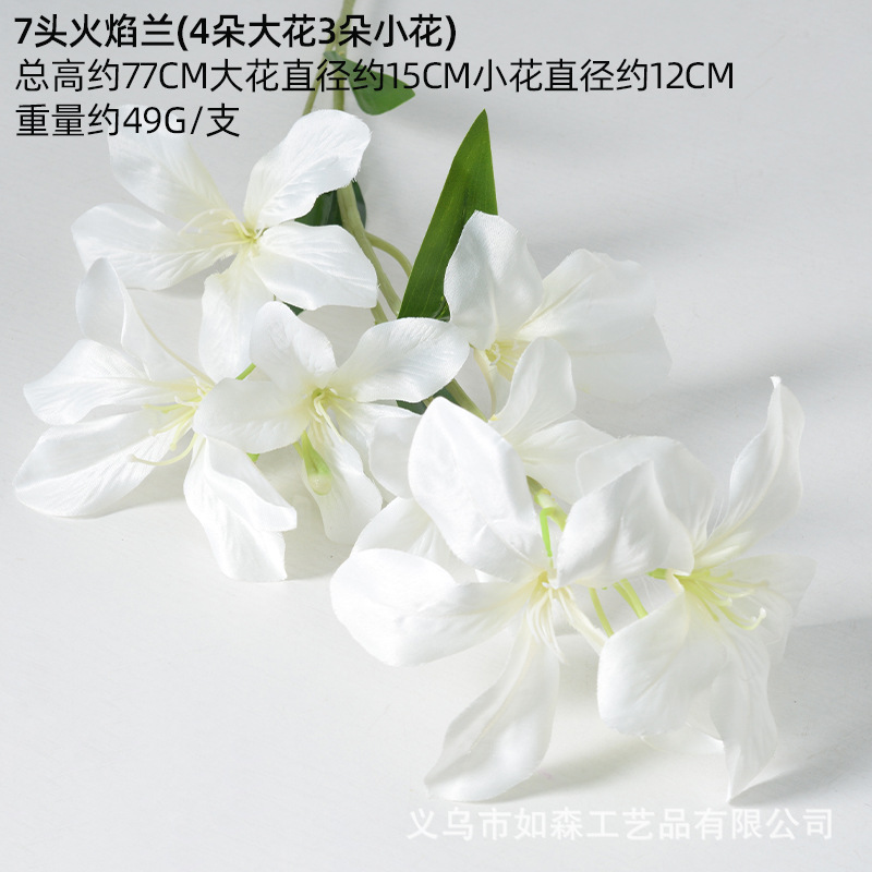 7 flame orchids white