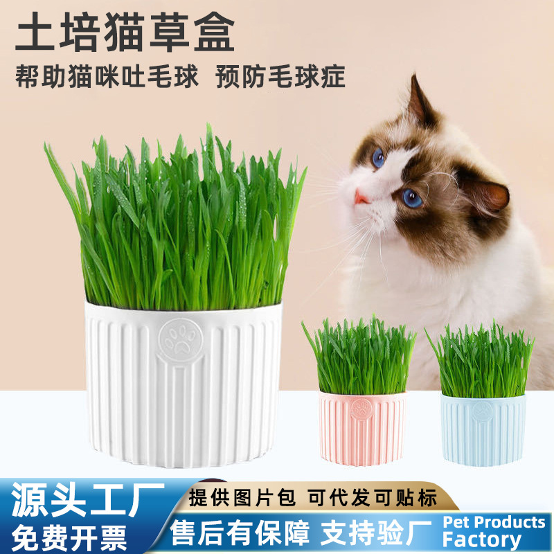 Soil-Grown Cat Grass Potted Wheat Seeds Cat Snacks Pet Food Hairball Remover Manufacturer Wholesale Cat Grass Box