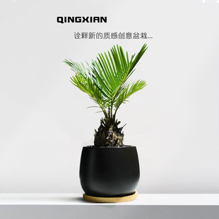 �F���҃������k�����K�F�ͺ����B�����̨�͕�ֲ���ݗ������Gֲ