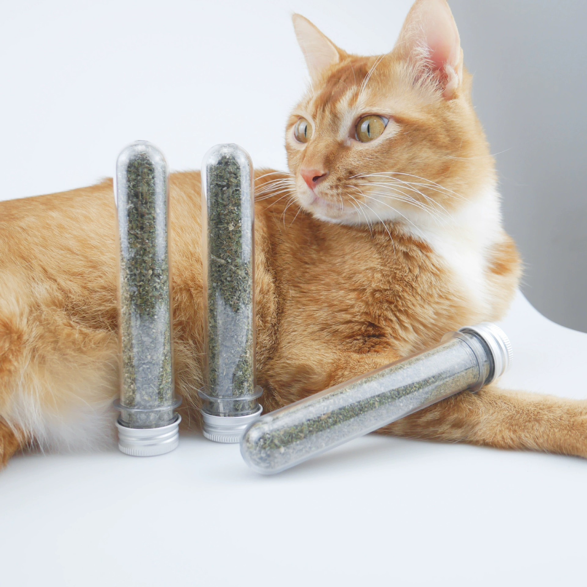 Кошачья мята помогает пищеварению и увеличивает аппетит Кошачья мята закуски Чистые зубы Каталитический плевательный мяч Выбор кошек