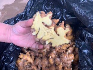 �����ϪԪ��С�S������ʳ�����l���ʳ���Ͻ����佪�N