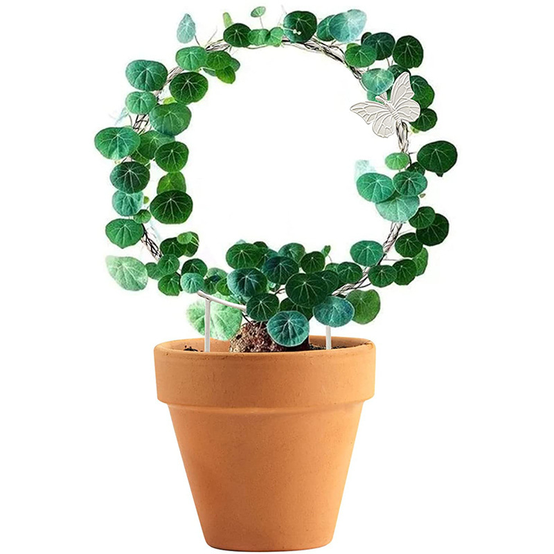 O1CN01ylnuwe1pmAHpNSwTf_!!2210