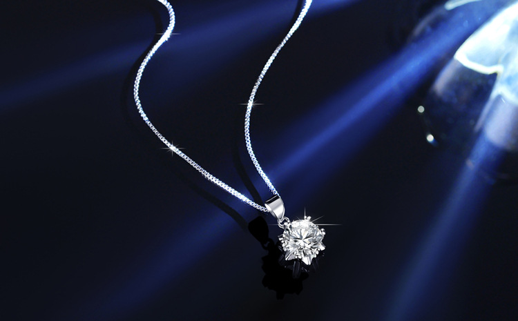 _DSC3161 拷贝_副本