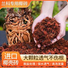 进口椰壳粗椰壳砖兰花专用脱盐无菌椰砖营养土蝴蝶兰石斛植料花卉