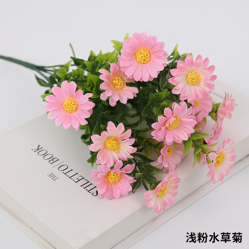 Rosa claro - crisantemo acuático