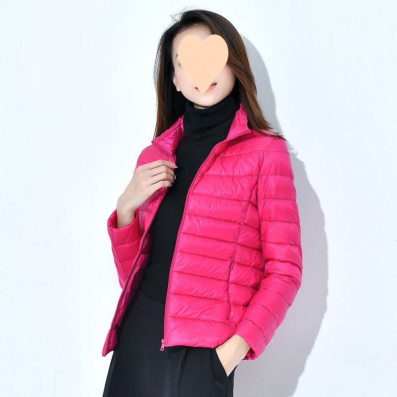 로즈 레드(스탠드 칼라)