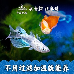 �^�����F�~С����ˮ�V���~���첻�Ӝ����ֺ��B��ˮ�^�p�~�ŷ��B�~