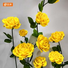 EVAõ����滨�W�t���Ĕz���߱�������Y��c�b���������쾰