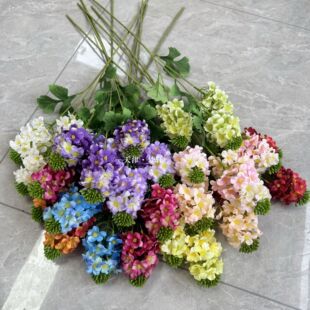 ����3���Ͳ˻���c·���廨�b��üٻ��Ͳ��ѼҾ��b��Ĕz����