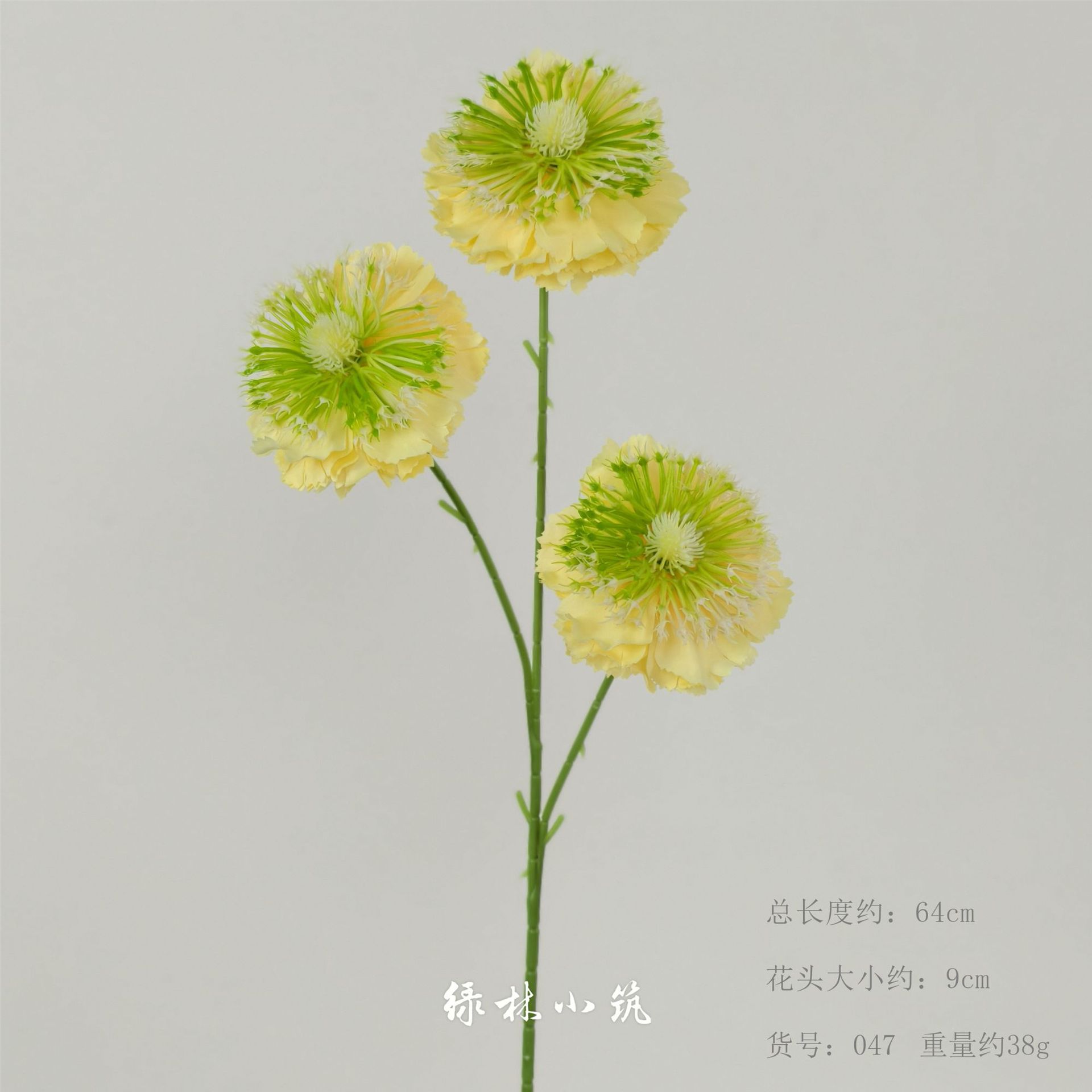 품목번호 047-동충하초