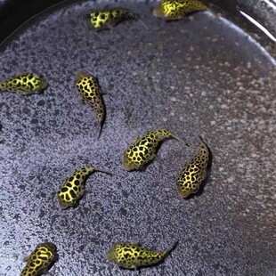 �����^�p�~�����޵�ˮСС������Ķ��Ӻ��B�ͻ��ɿ�����������