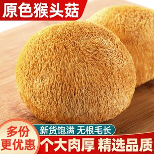 ����ζ�����ذl؛�����^�����l�r�Ҹ�؛���^����؛�Ҝ��o���