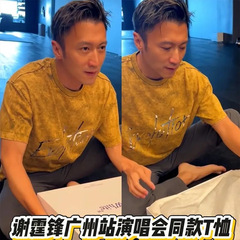 谢霆锋2025演唱会同款周边反光纯棉短袖T恤水洗脏脏黄男女衣服
