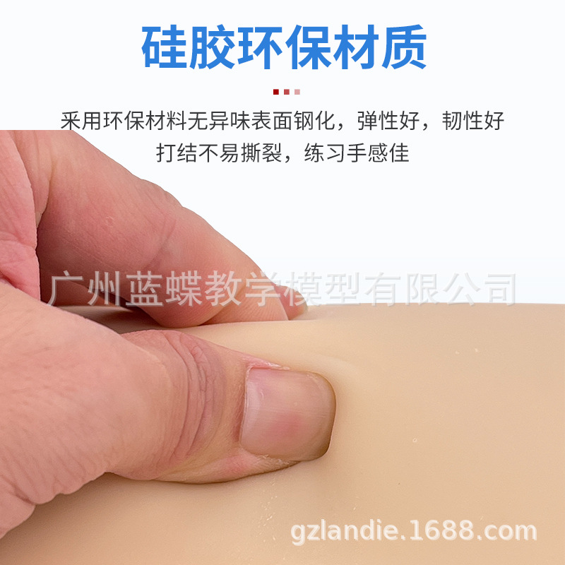 �����Ƥ�����ģ�� ��㼡���п����ѵ��ģ�� ����п������ϰ