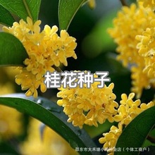 �𻨷N�� �ļ����������¹𻨘�N�� ��