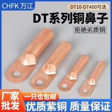 国标DT铜鼻子紫铜10-300接线端子电工电缆接头铜线鼻子堵油铜线耳