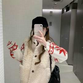 韩系小众别致羊羔毛马甲背心女冬季百搭显瘦保暖外搭短款马夹外套
