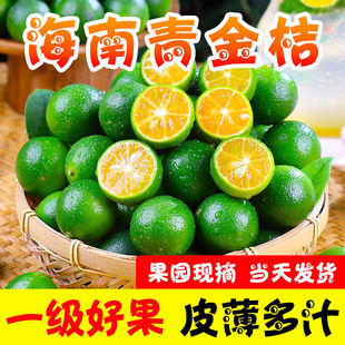 ��������9��С����������r��Ƥ����С������ �̲��ˮ��һ����