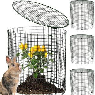 �羳DlYֲ�ﱣ�o�ְ����F�z�W��Plant Protector���ֲ�ﱣ�o��