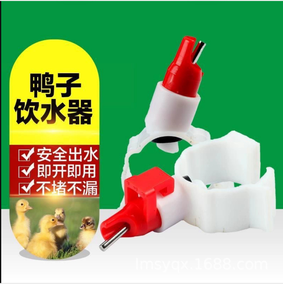 供应鸭饮水器 鸭子饮水器 鸭子自动饮水器 鸭子水嘴