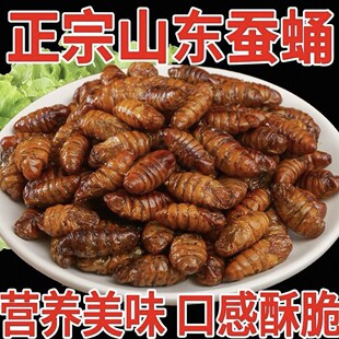 ��ը�����QӼɽ�|�خa�_����ʳ�������������sӼ��ʳ��ʳ�¾Ʋ�