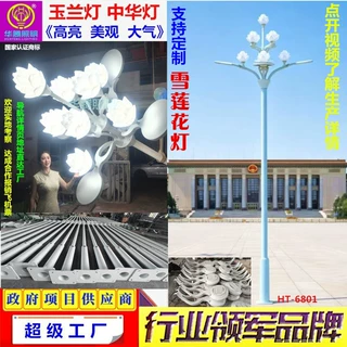 玉兰灯厂家定制市政道路玉兰灯 6米-15米主杆道中华玉兰高杆灯