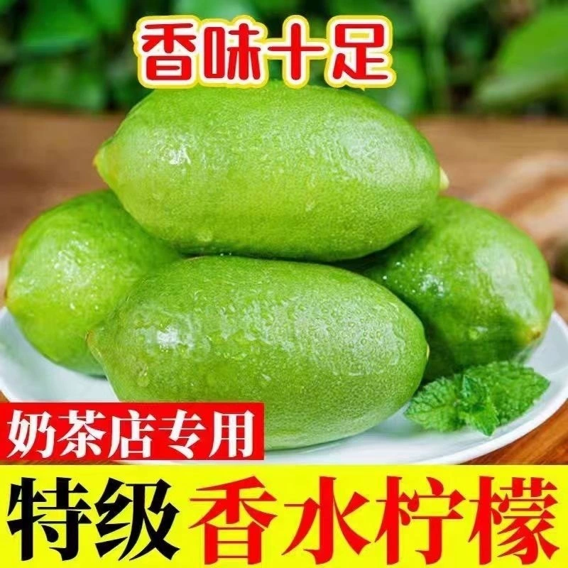 Семена лимона Хайнань, крупные, сочные, зеленые, без косточек.