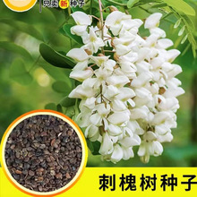 ̻N ׻̻㻨 뻱۷ۻSN