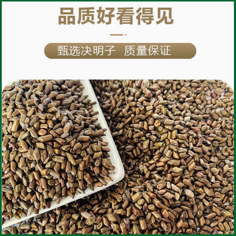 决明子玩具沙 草决明儿童玩沙子 散装沙滩玩具 枕芯