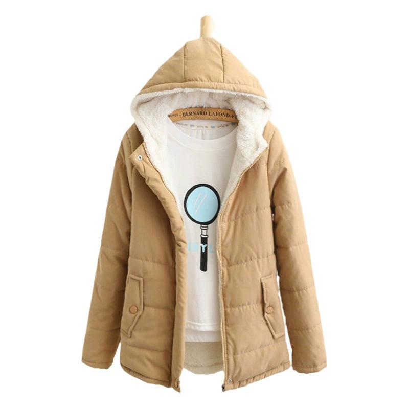 Новая женская куртка-пальто из искусственной овчины в корейском стиле, осенне-зимняя коллекция 2025, универсальная, свободного кроя, с капюшоном, на флисовой подкладке, в студенческом стиле