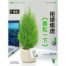 ���ɷ����ɾGֲ���p��ֲ����B���ļ��k�������湤λ�Gֲ�҃�����