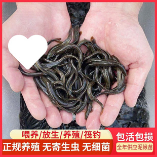 ���q���r��ι�B������~���~���D����������q�Bֳ��ˮ�^�p�~���