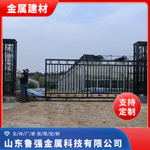 铁艺大门庭院门铁艺带花对开带门插家用乡村入户大门定制来图设计