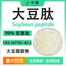 大豆肽98%大豆提取物 速溶小分子大豆肽粉 现货1kg装 大豆低聚肽