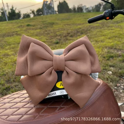 Multi-Color Purple Series, Cross-Border – Motosiklet dəbilqələri - brown-27cm-bow