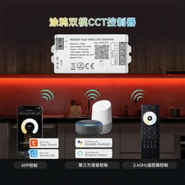 新款私模C02W智能WIFI涂鸦APP控制I双色温控制器12-24