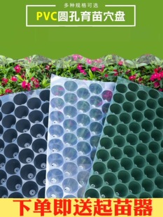 ��������P�߲˹Ϲ���������PVC�A��Ѩ�P100���������ܹϱP���ݱP