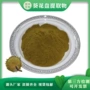 向日葵花托提取物