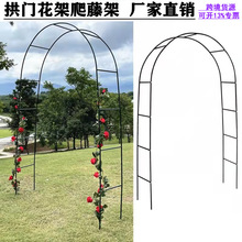 葡萄架植物攀爬铁线莲蓝雪花月季拱门花架爬藤架支架庭院装饰户外