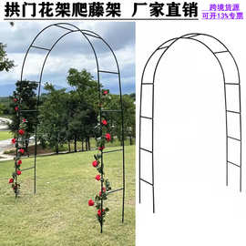 葡萄架植物攀爬铁线莲蓝雪花月季拱门花架爬藤架支架庭院装饰户外