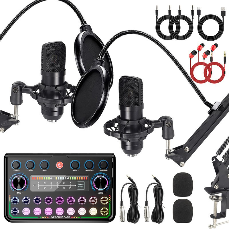 Cross-Border Bm700 Condenser Microphone Dual Microphone English Sound Card Equipment Live Broadcast Full Set of Mobile Phone Computer Recording Internet Celebrity