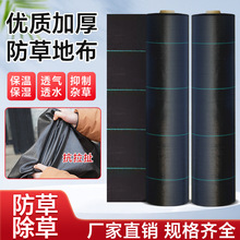 ݲ@ˇز@Ƭݲ͸͸ˮwֲݲݲ