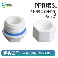 4分家用PPR外丝内丝堵头内外牙丝堵头PPR水管管件配件闷头