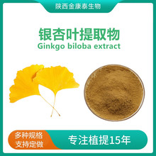 银杏叶提取物/白果叶提取物10:1银杏黄酮  银杏叶粉 百果叶粉