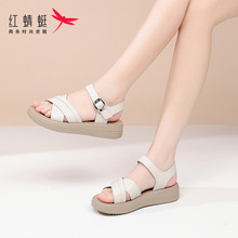 红蜻蜓女鞋夏季平底软底沙滩鞋女士凉鞋女新款外穿真皮妈妈不累脚