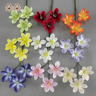 6�^�F��ɏ ���m�� ��Y��̨���ŵ�피ٻ� �҃��쾰�[���b���