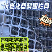 土工格栅塑料围网养殖养鸡网圈玉米网户外菜园果园耐用防鸟网