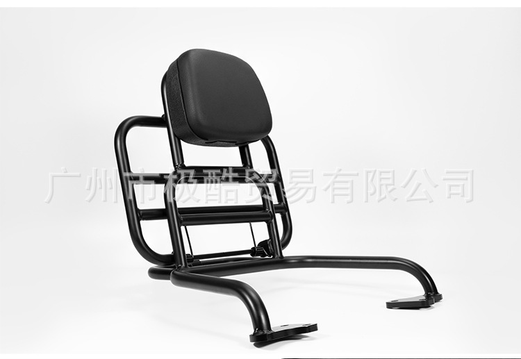 Suitable for Ae4 Electric Motorcycle Special Rear Backrest Cushion and Rack Modification Accessories, Non-Destructive Installation