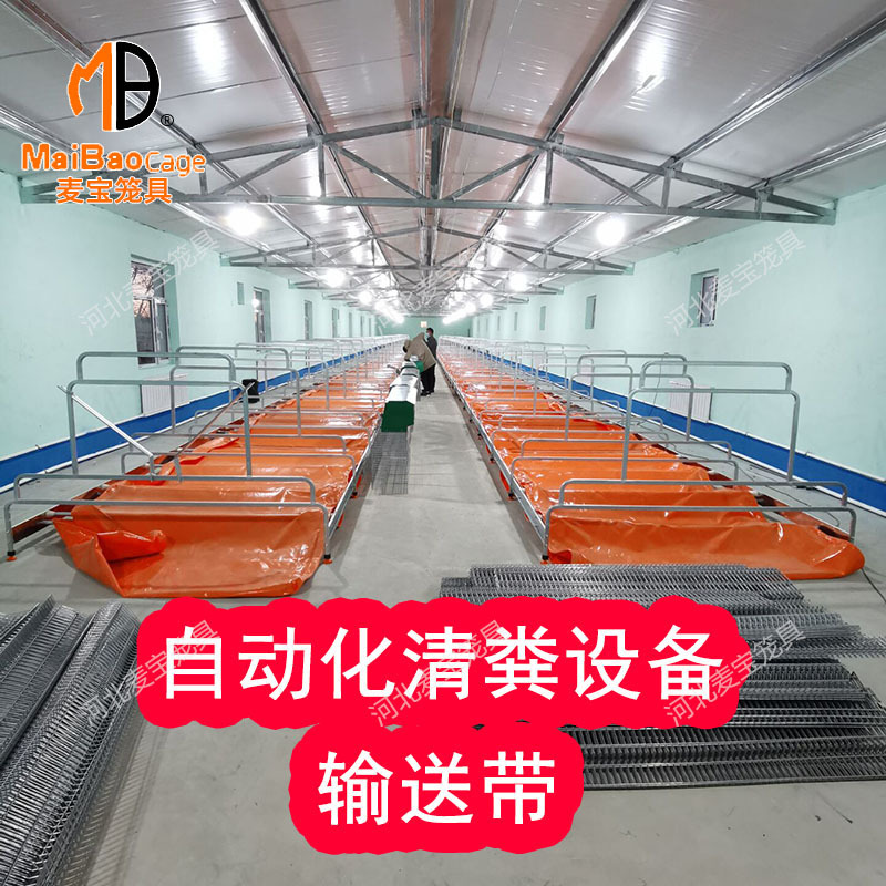 O1CN01sn5Vtw1P6mVOKZiKB_!!1950