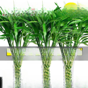 �S�ҿ͏d�D�\���F��ˮ��ֲ���^���񻨻ܰlؔ��S�ҾGֲ�҃�